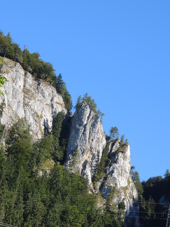 Penzion Borovica Stratená Exteriér fotografie