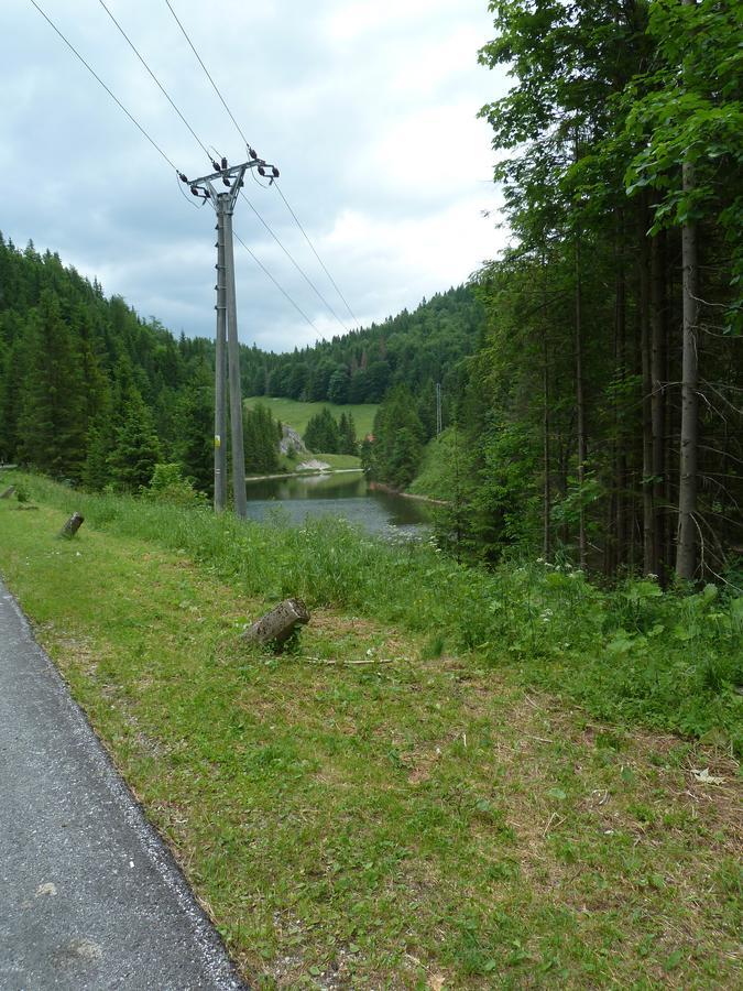 Penzion Borovica Stratená Exteriér fotografie