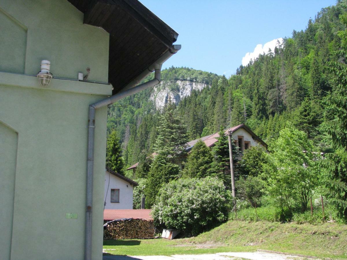 Penzion Borovica Stratená Exteriér fotografie